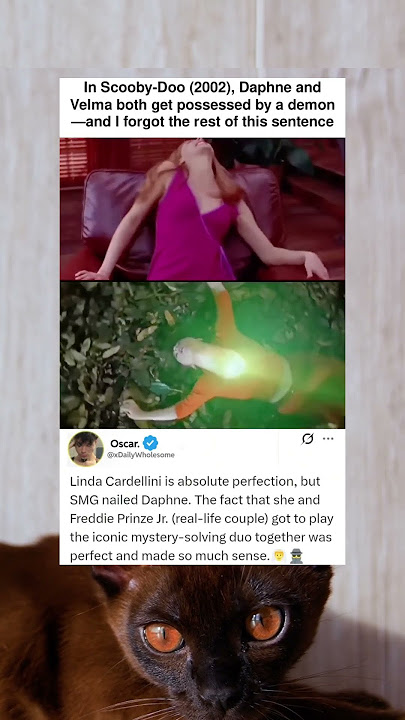 In Scooby-Doo (2002), Daphne and Velma both get possessed by a demon—and I forgot the rest of this