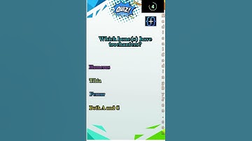 Free Anatomy Medical Coding Practice Questions #medicalcoder #medicalcodingcourse #medicalcoding