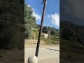 الدوار واد جنان