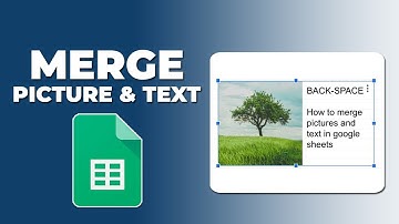 How to merge pictures and text in google sheets