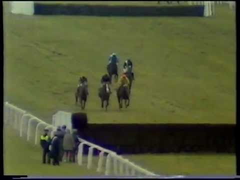 1986 Peter Marsh Limited Handicap Chase