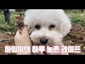 하임이의 하루 농촌 라이프 [일상 VLOG]