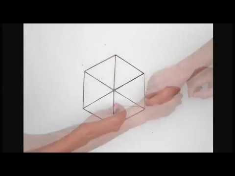 Stopmotion Generative Design Algorithm II 1080p