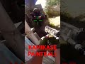 KAMIKASE PAINTBALL (4)