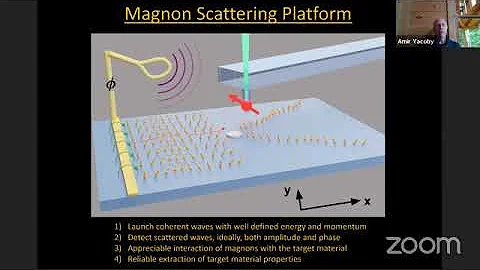 Prof. Amir Yacoby: "Magnons as New Probes of Stron...