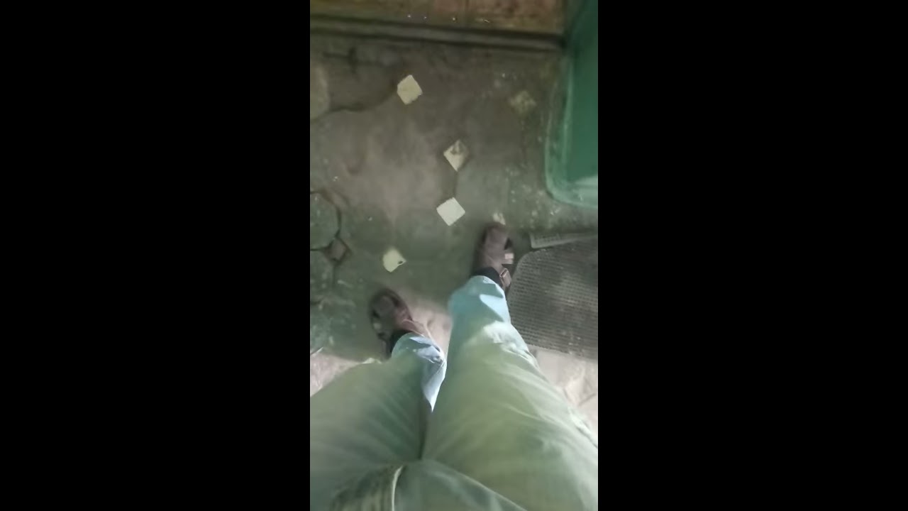 носки и сандалии