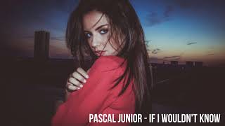 Pascal Junior - If I Wouldn't Know (Radio Edit)