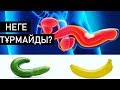 Еркектің МҮШЕСІ неге тұрмайды? Бедеулік неден пайда болады? Бедеулікті емдеу жолдары.