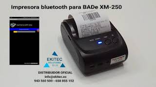 Impresora bluetooth para BADe XM-250 screenshot 3