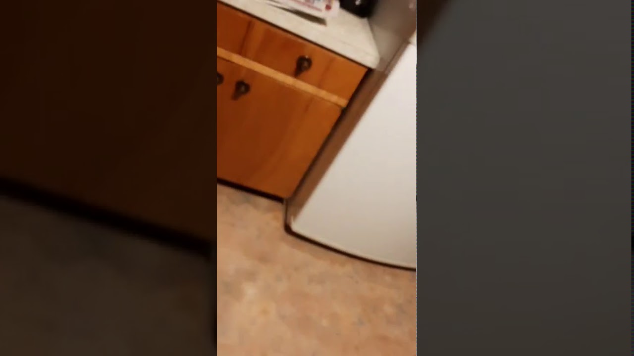 Making cereal with stoners