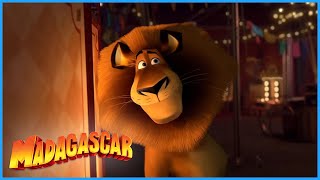 DreamWorks Madagascar | You're a Genius | Madagascar 3  Europe's Most Wanted   Kids Movies