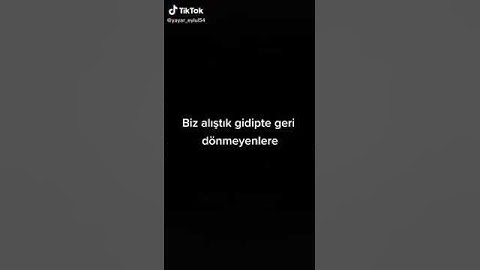 bırakın gidin  biz alıştık gidipte geri dönmeyenlere