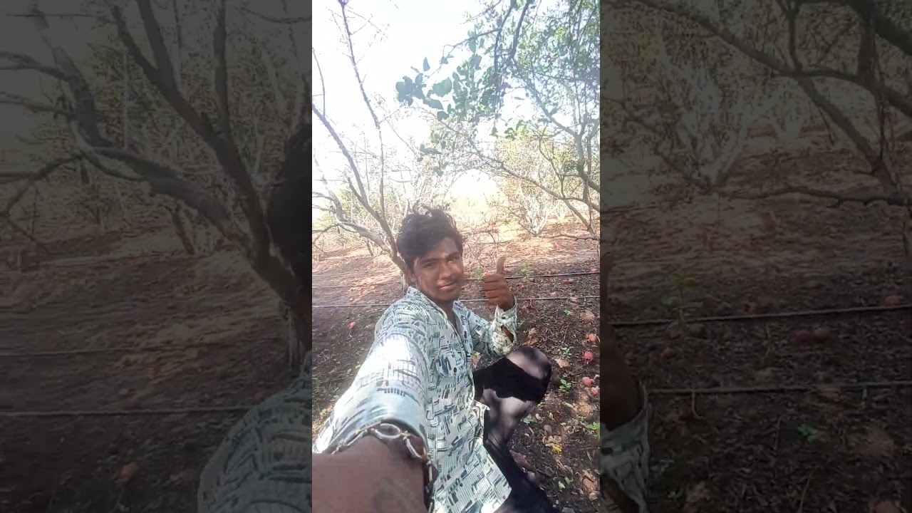 #new #song #gujarati #viral #shortvideo #viralvideo #viral #song#djremix