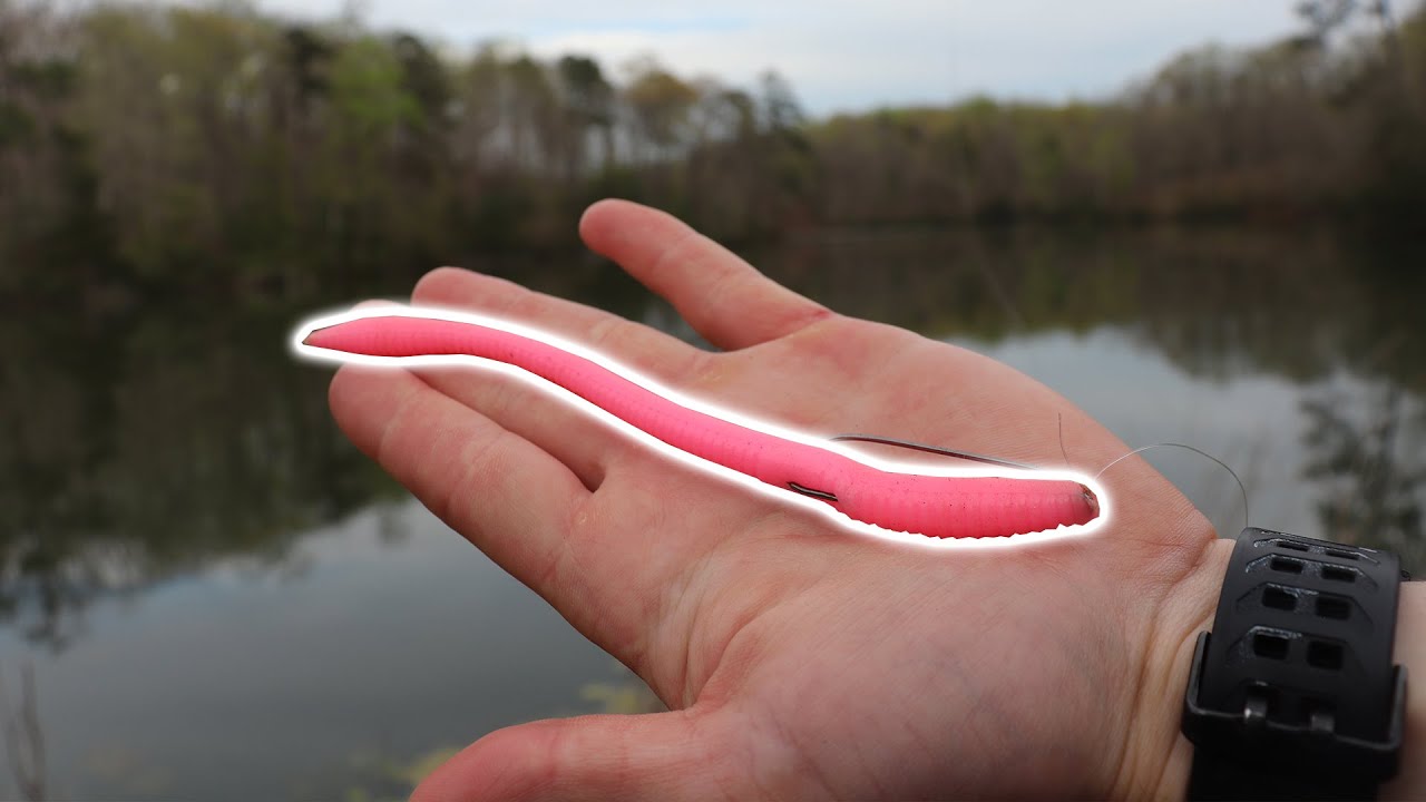 Fishing a Floating Worm - SECRET Springtime Bass Fishing Lure? 