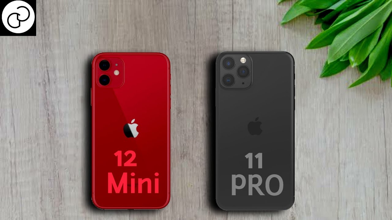 iPhone 12 Mini vs iPhone 11 Pro - YouTube