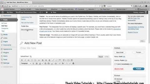 WordPress Basics for Beginners   The WordPress Post Editor WordPress 3 3 1