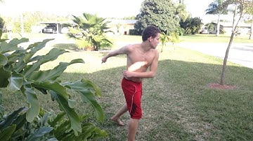 Frank Vazquez Mini Sampler 2014