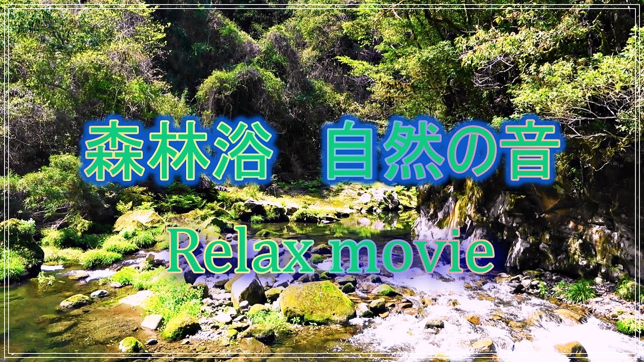 森林浴 自然の音 綺麗な景色 リラックス効果 Youtube 森林浴 自然の音 綺麗な景色 リラックス効果 Youtube