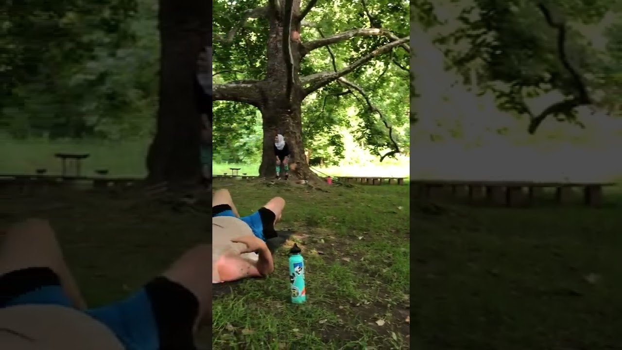 Sycamore Tree & Fire Ring @ Locust Grove Nature Center