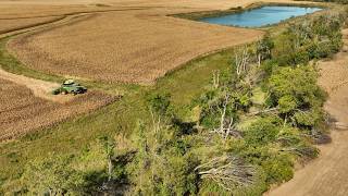A Tornado Wrecked This Corn Field!