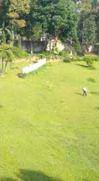 tulus do au by simenstar