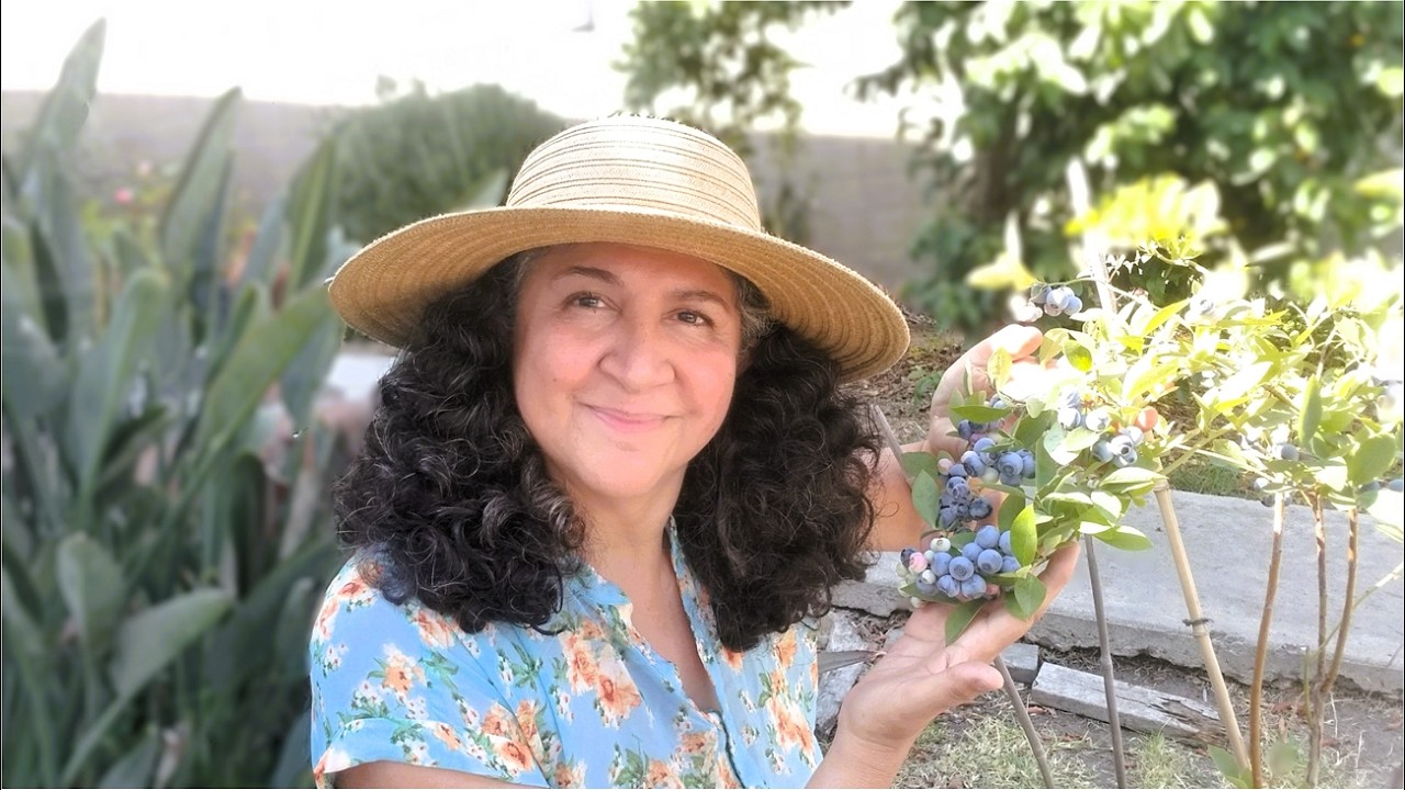 Siembra en julio | Primeras cosechas | Recorrido