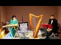 クリスマスコンサート🎄メアリと魔女の花より♪夜間飛行