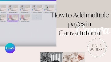 How to Add multiple pages in Canva Tutorial