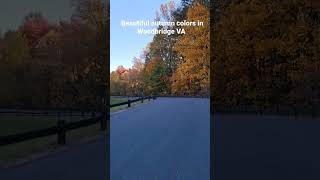 Beautiful autumn colors in Woodbridge Virginia