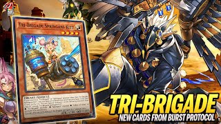 Deck Tri-Brigade Post Burst Protocol | MDPRO3 | Replays  & Decklist