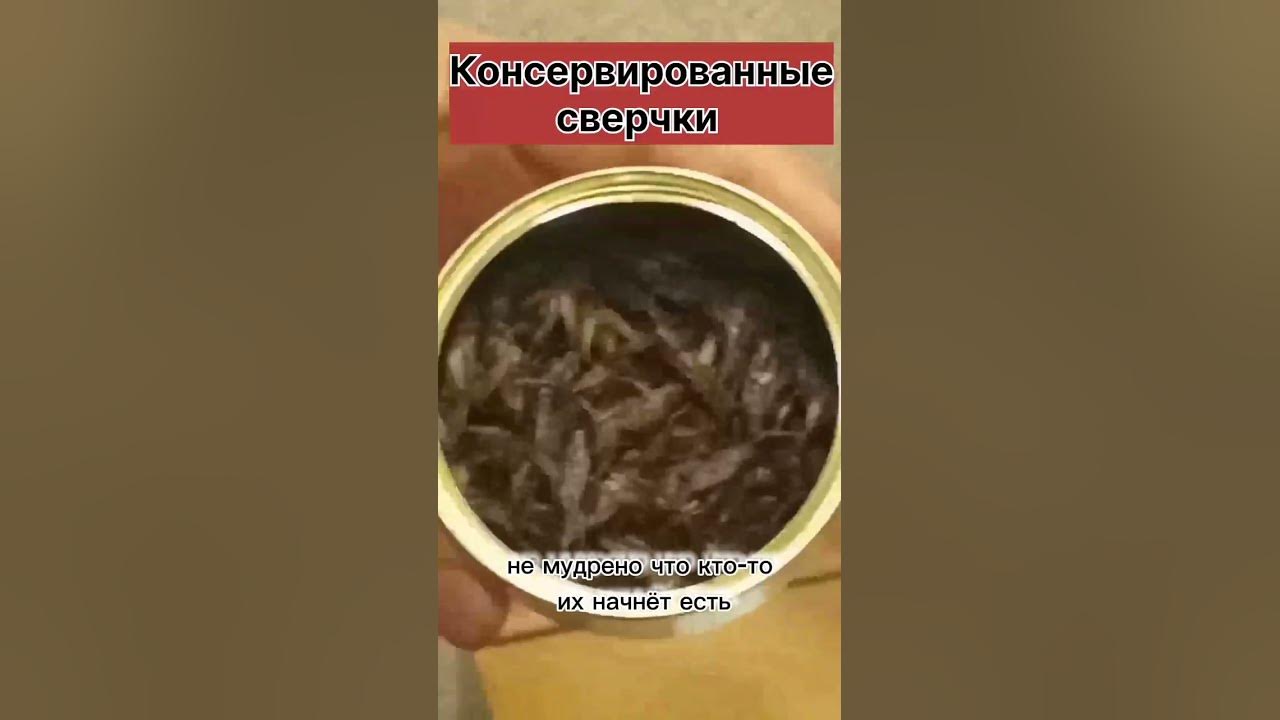 Консервированные сверчки - YouTube