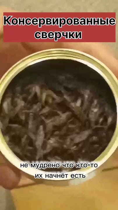 Консервированные сверчки - YouTube