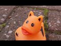 Lost and Found: Ducky (short film) BA Hons Photography - Moving image project