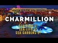 Египет. Обзор CHARMILLION SEA CLUB RESORT 5*. CHARMILLION LIFE 4*. CHARMILLION GARDENS AQUAPARK 5*