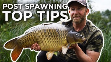 Post Spawning Carp Fishing with Mark Pitchers- What You Need to Know 🤔