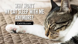 WHY WON’T MY CAT SLEEP WITH ME ANYMORE?