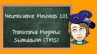 Transcranial Magnetic Stimulation (TMS) explained | Neuroscience Methods 101