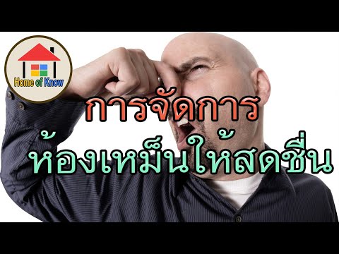 วิธีแก้ไขกลิ่นเหม็นภายในห้องให้สดชื่น | Home of Know