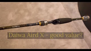 Daiwa Aird X Laguna 6 ft 6 in M Spinning Combo