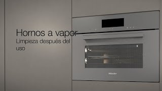 Horno Miele a Vapor DG2840 - Hornos Eléctricos | Paris.cl