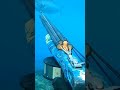 بندقيه صيد السمك Fish Fishing Shark Shorts 