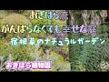 おぎはら植物園店長さん著書❀がんばらなくても幸せな庭✼宿根草のナチュラルガーデン✼本の紹介