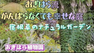 おぎはら植物園店長さん著書❀がんばらなくても幸せな庭✼宿根草のナチュラルガーデン✼本の紹介