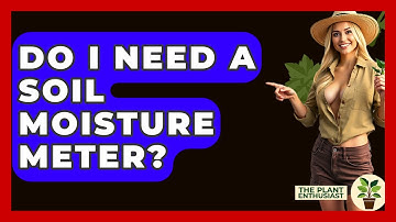 Do I Need A Soil Moisture Meter? - The Plant Enthusiast