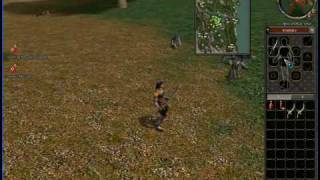 cheat armi +9 metin2