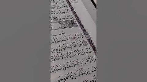 #قران_كريم سورة النحل بصوت القارئ للشيخ محمد اللحيدان قناة القرآن الكريم الرسمية