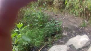20160728f Salkantay Trek Day 3 Sahuayaku, Lucamabamba Coffee Farm, Inca Trail, Llactapata GOPR0051