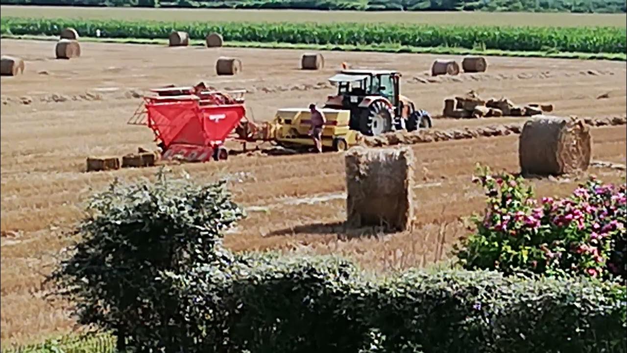 🌾 Fabrication de bottes de paille rectangulaire 🚜 YouTube