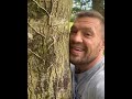 Conor mcgregor hugging trees before smashing skulls in