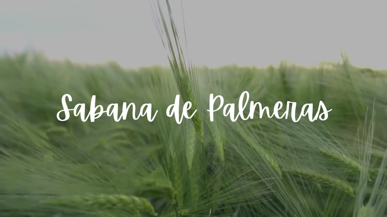 La Sabana de Palmeras